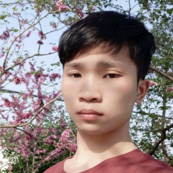 找只一伴的照片