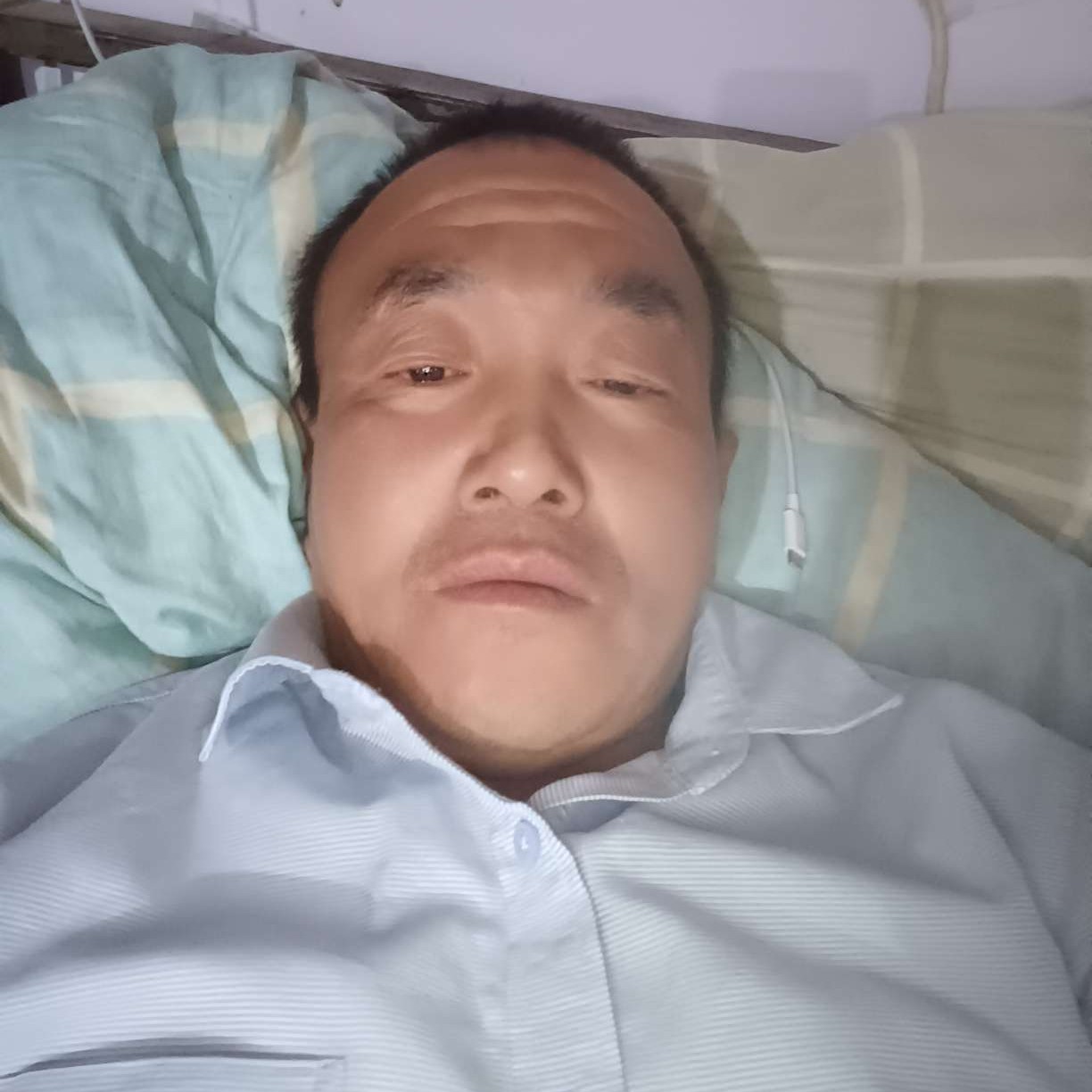 孤單改变羽毛的照片