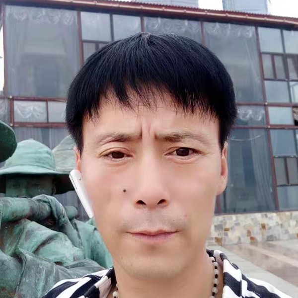 必须滴的照片
