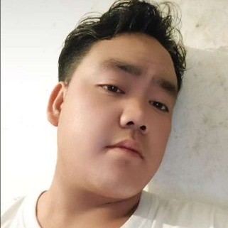 鼠标儒雅的照片