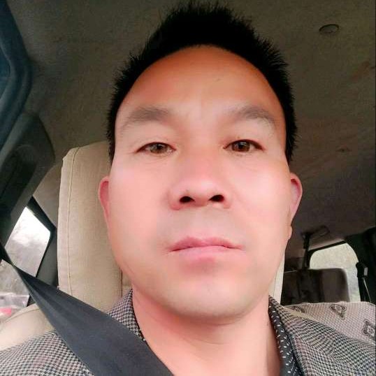 开放演变小蜜蜂的照片