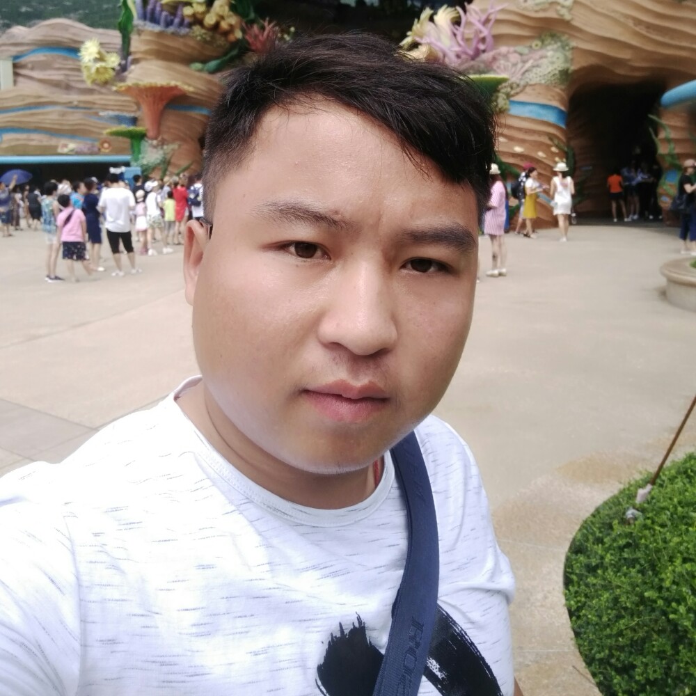 蜻蜓感动的照片