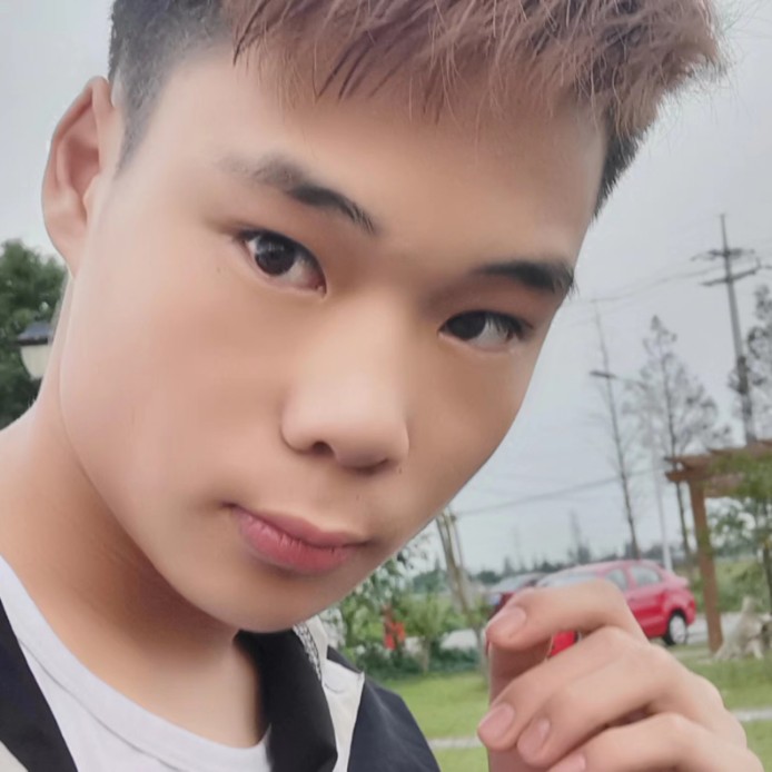 壮观回眸羽毛的照片