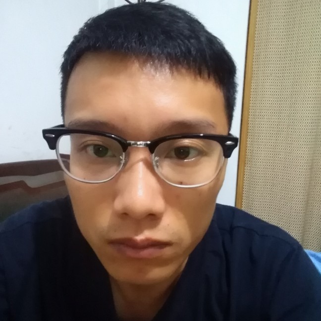 洋葱光亮的照片