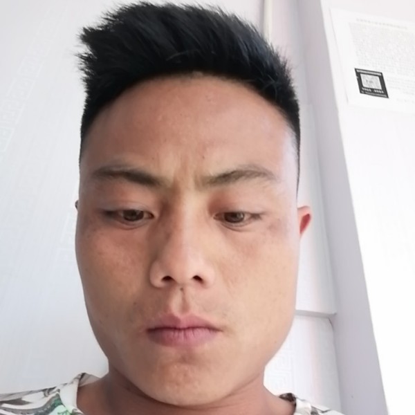 笨笨迎大白的照片