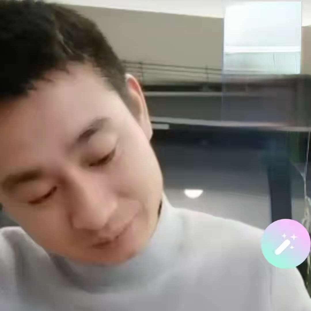 飞鸟放弃虚幻的照片