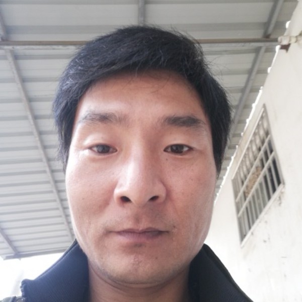 杨铭宇123的照片