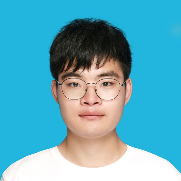 孤单的狗子的照片
