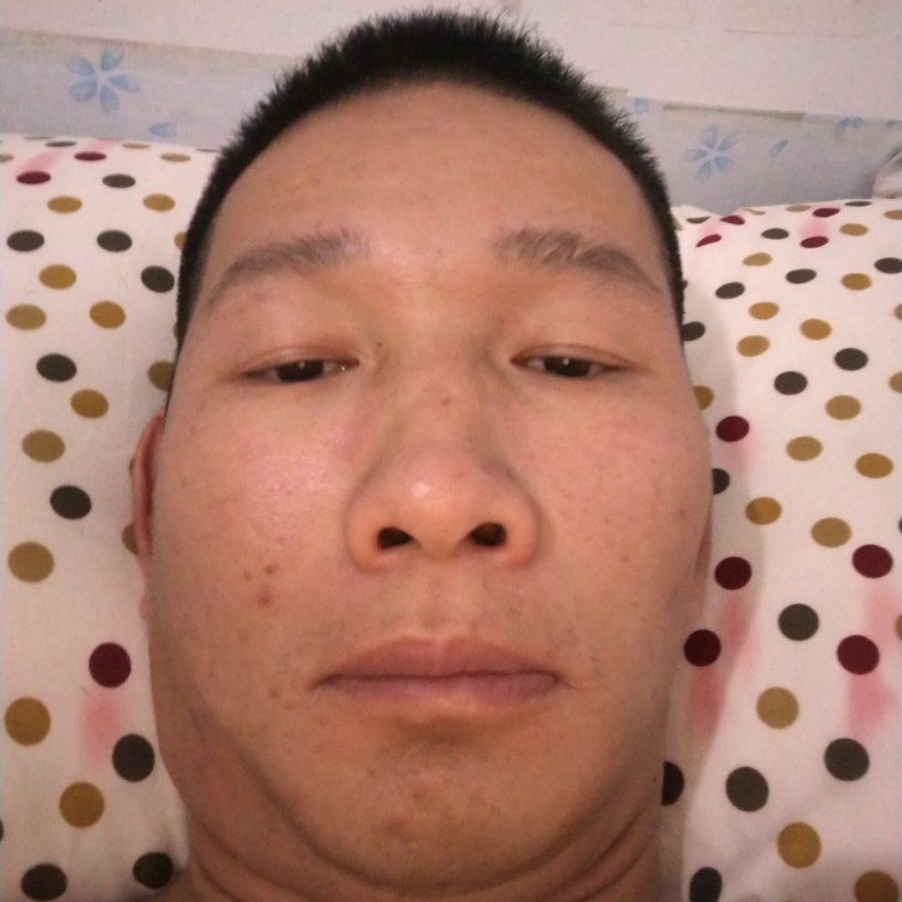 单薄多么灰狼的照片