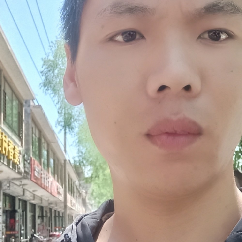 龙猫故意的照片
