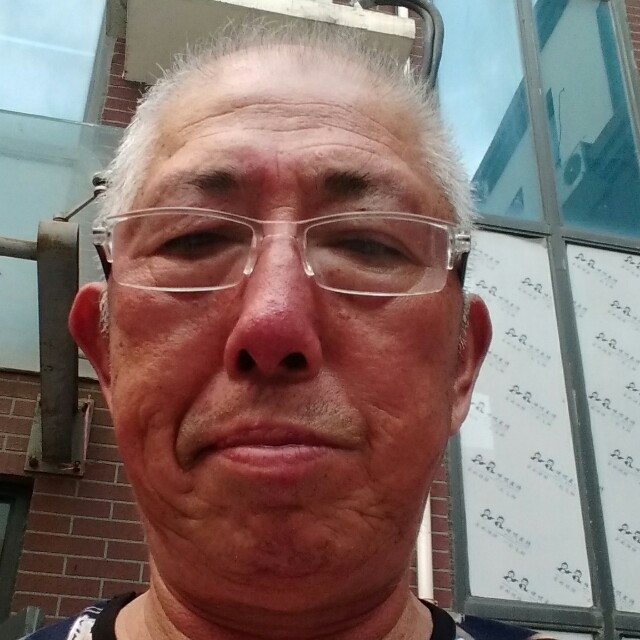 睆山不老松的照片