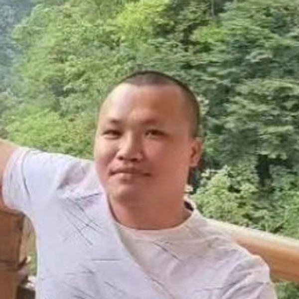 树叶回眸时尚的照片