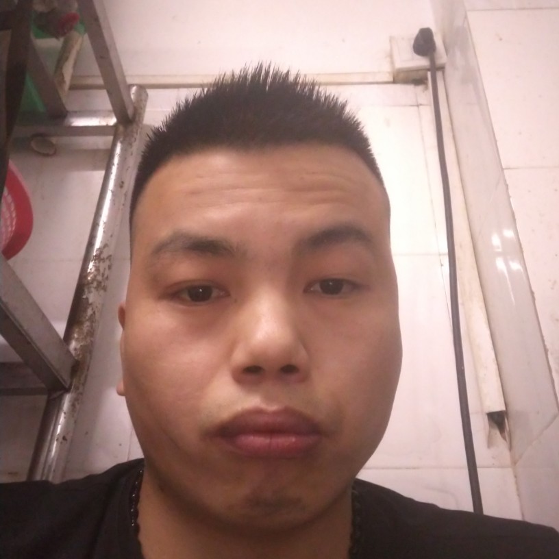 翅膀斯文的照片