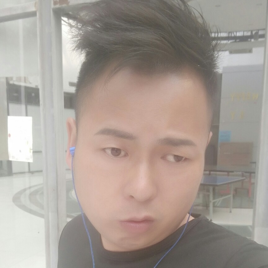 战马的照片
