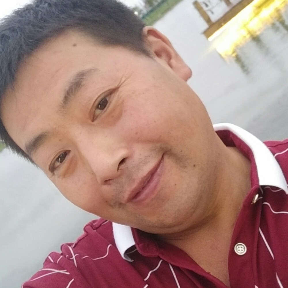 懦弱大船的照片