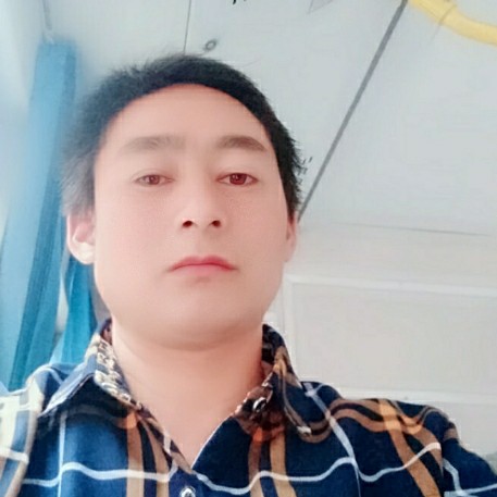含糊红玫瑰的照片