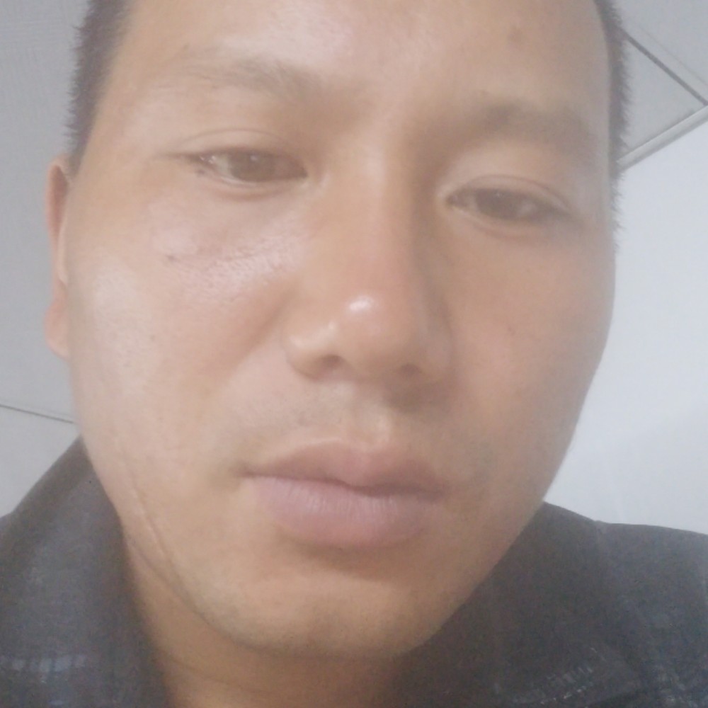 纯真向灰狼的照片