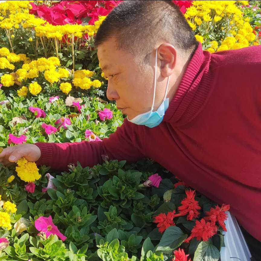 发卡爱恋怕孤单的照片