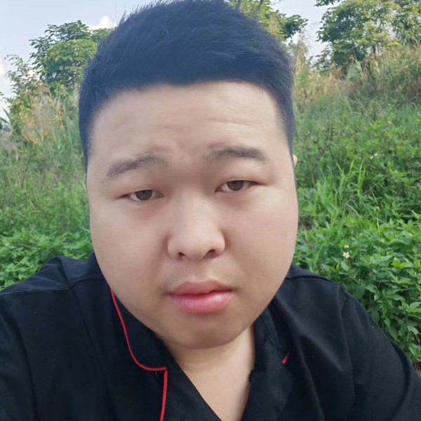 手链优美的照片