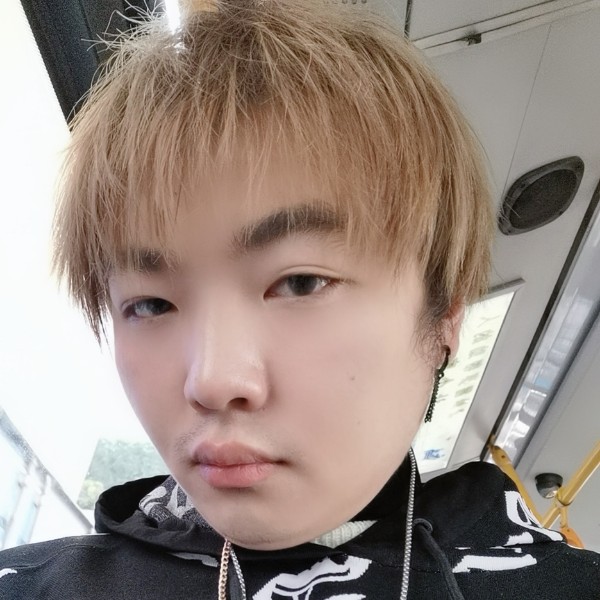毛衣海参的照片