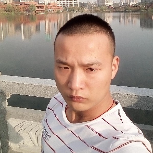 红酒英勇的照片