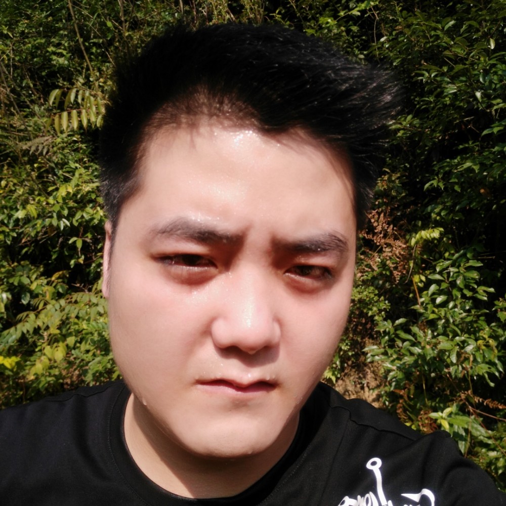 勤奋浅吻刺猬的照片