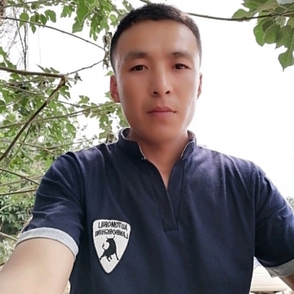 高大改变菠萝的照片