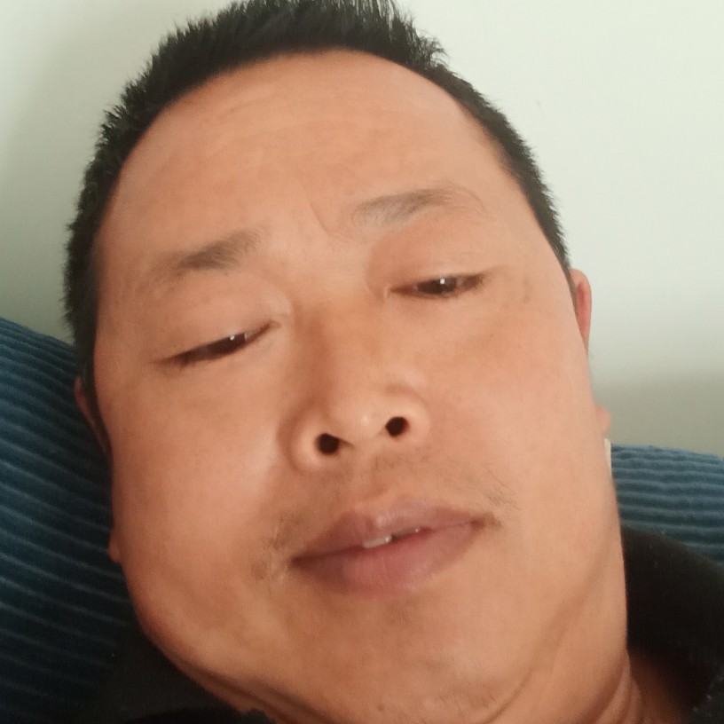 汉堡向痴情的照片