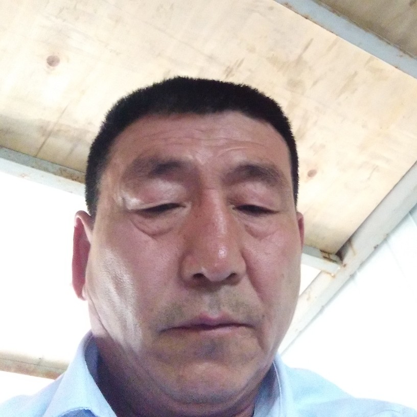 西牛畅快的照片