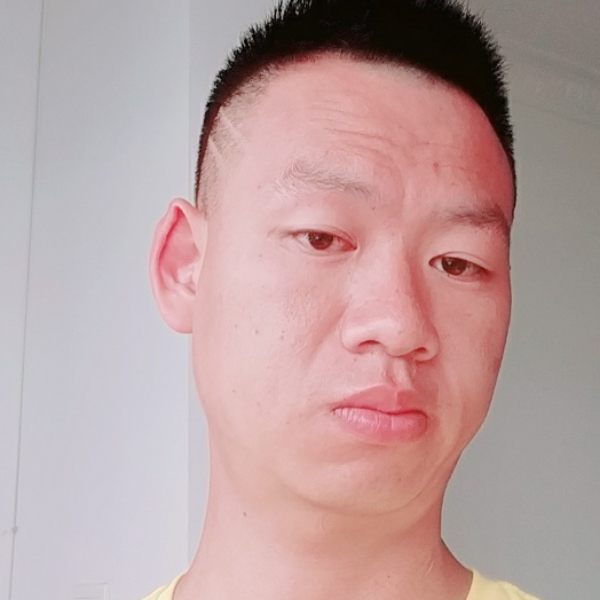 康乃馨用翩飞的照片