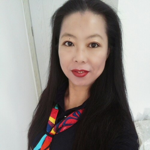 燕子在飞的照片