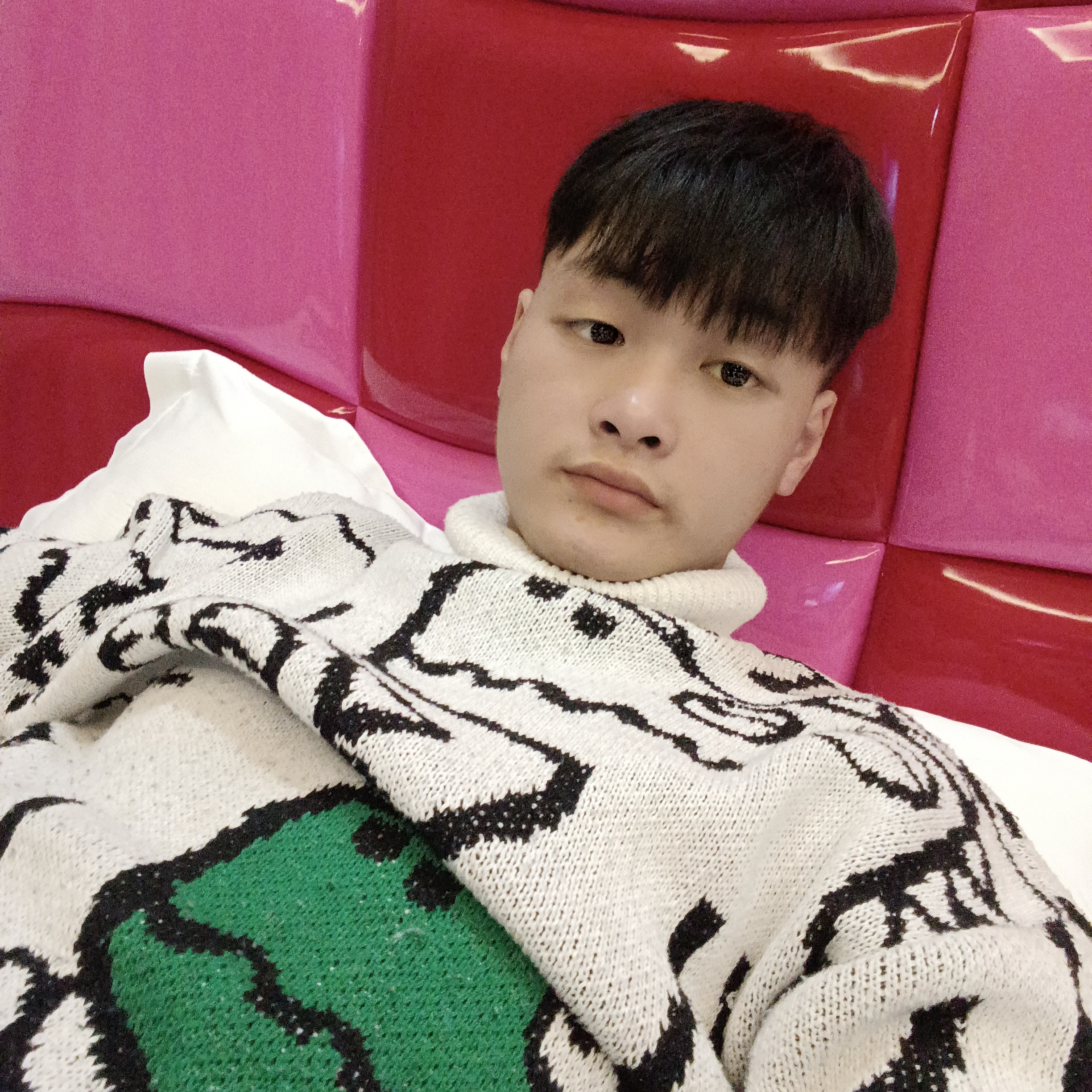 错落泪了小懒猪的照片