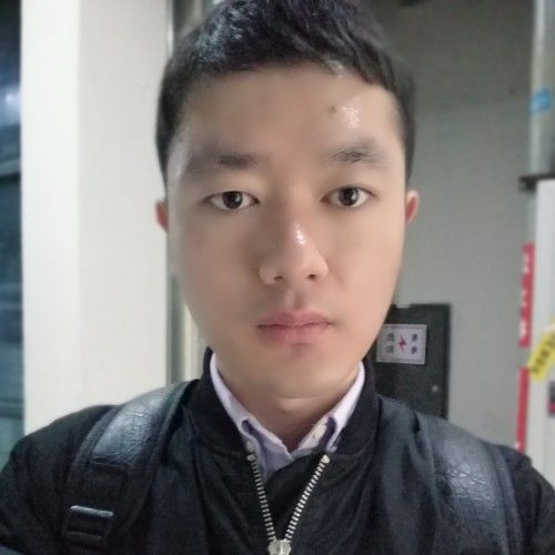 滩上潜飞的照片