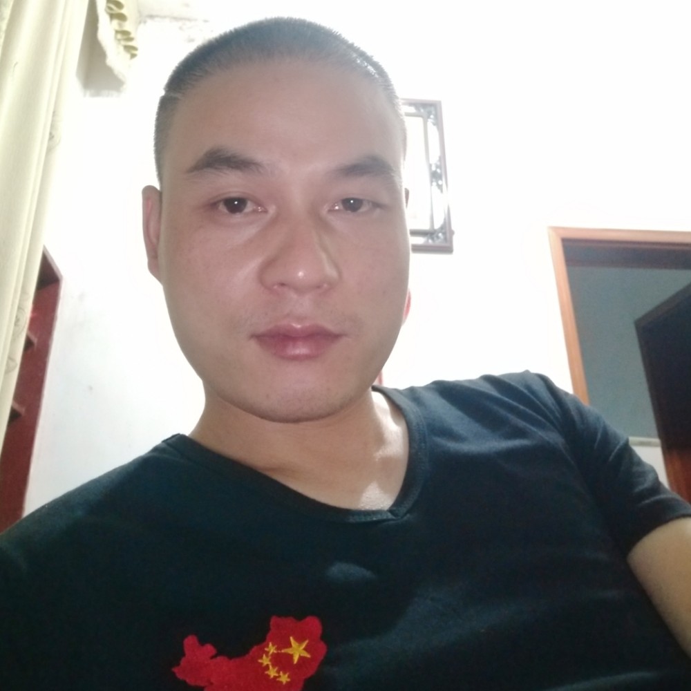 平凡的羊的照片