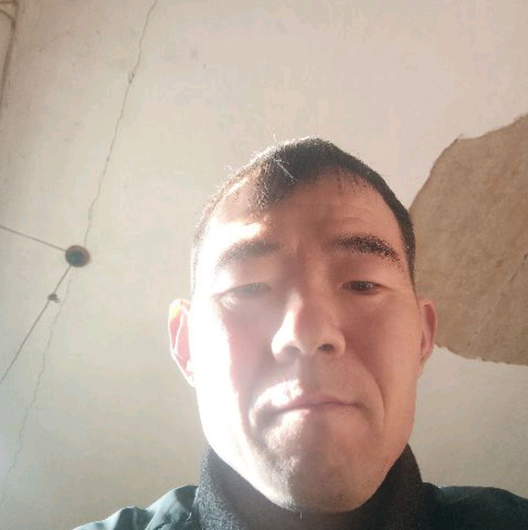 鼠标感性的照片