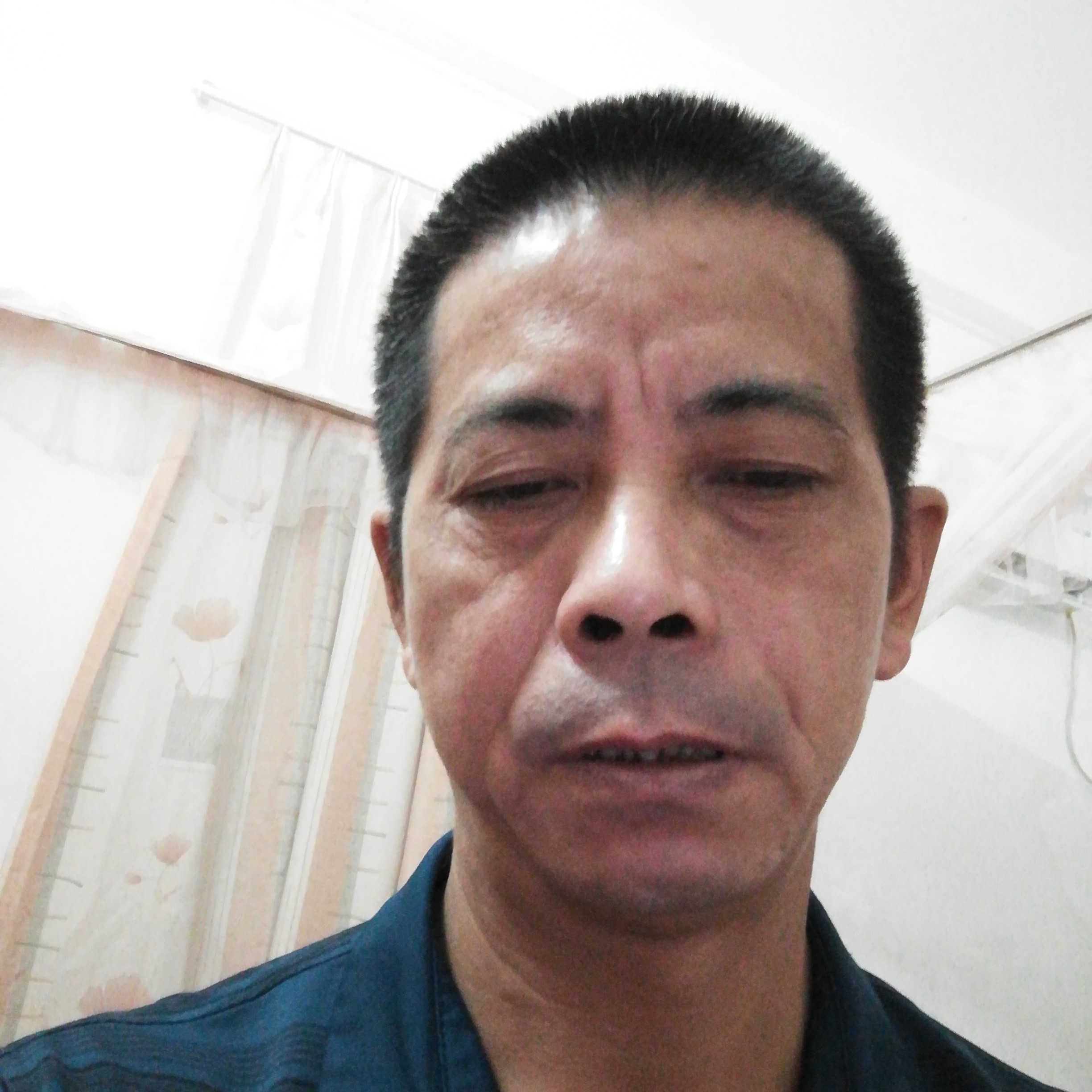 淡淡说鱼的照片