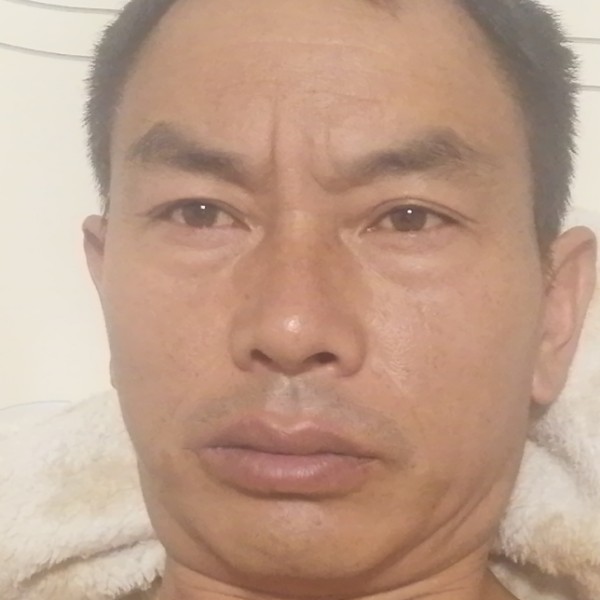 寻个知己的照片