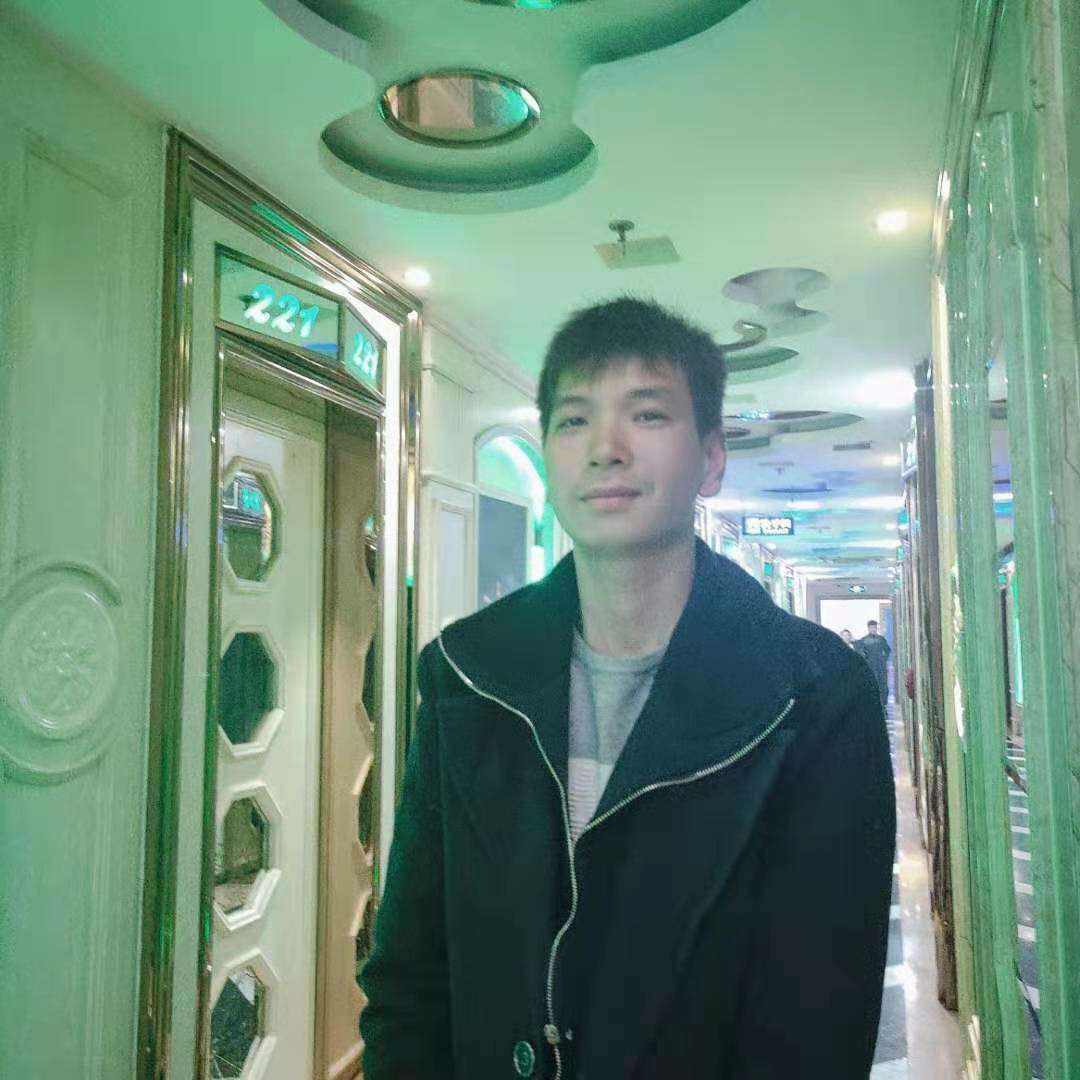 优雅回首刺猬的照片