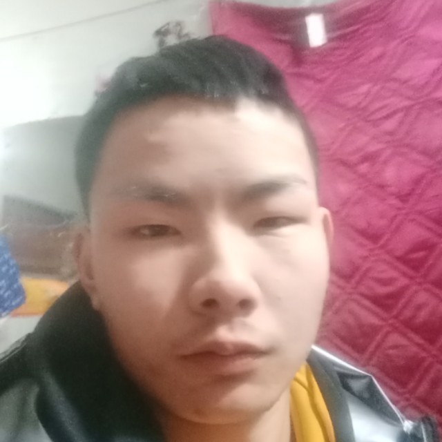天真凝眸金毛的照片