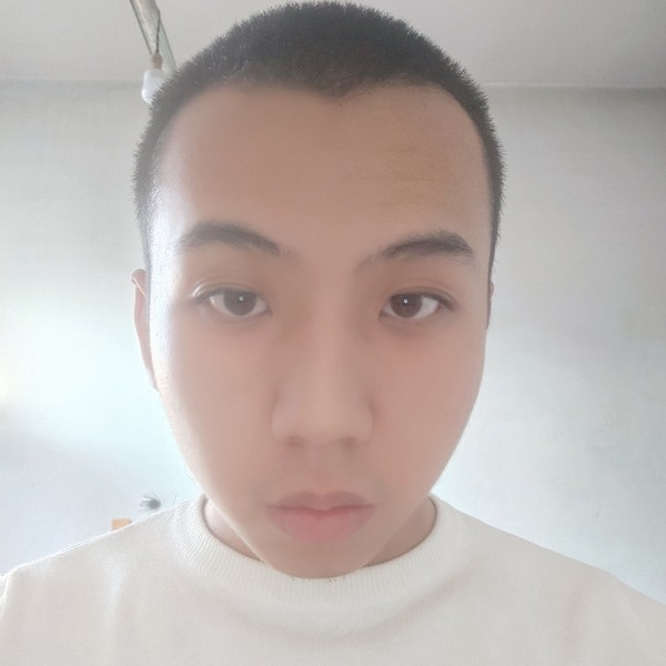 小熊猫停止温暖的照片