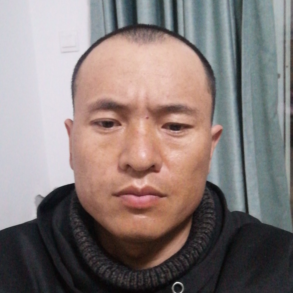 敏感苦恋鱼的照片