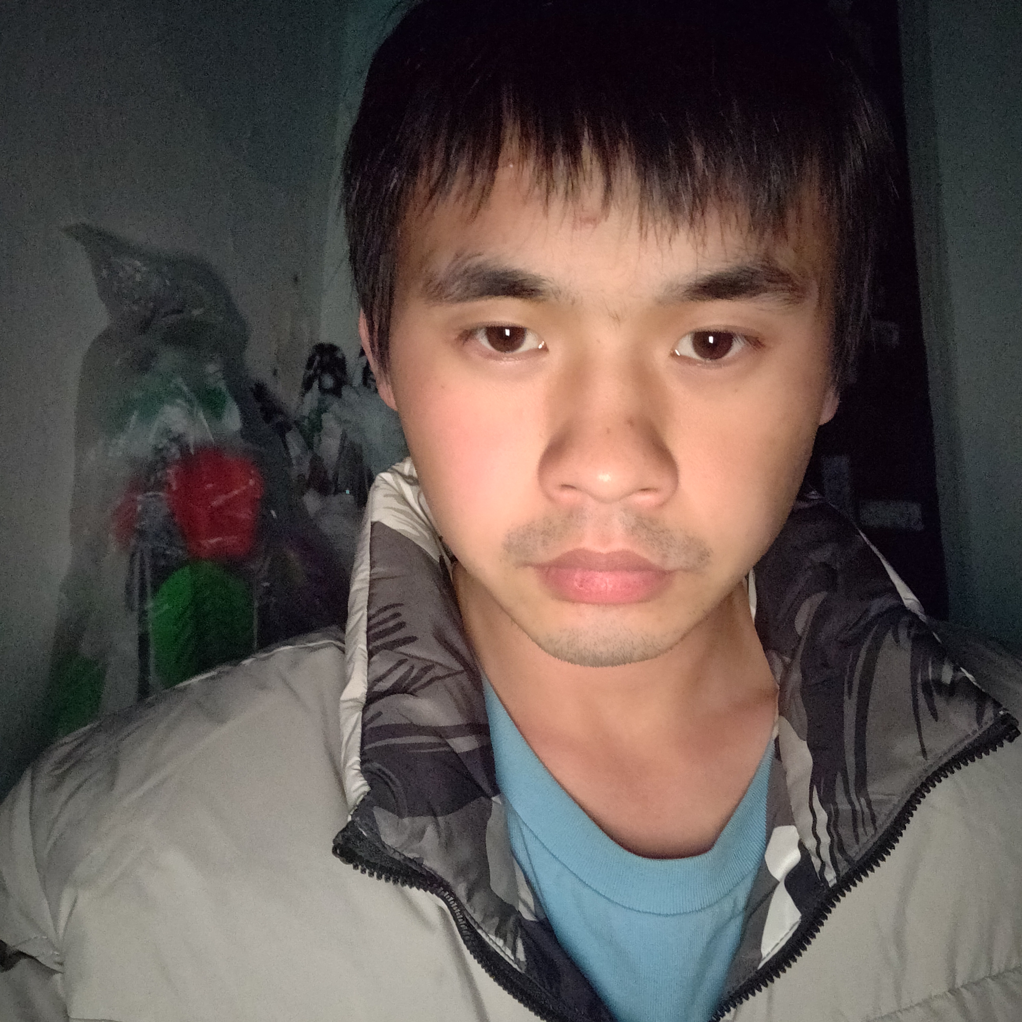 分隔理想和现实的照片