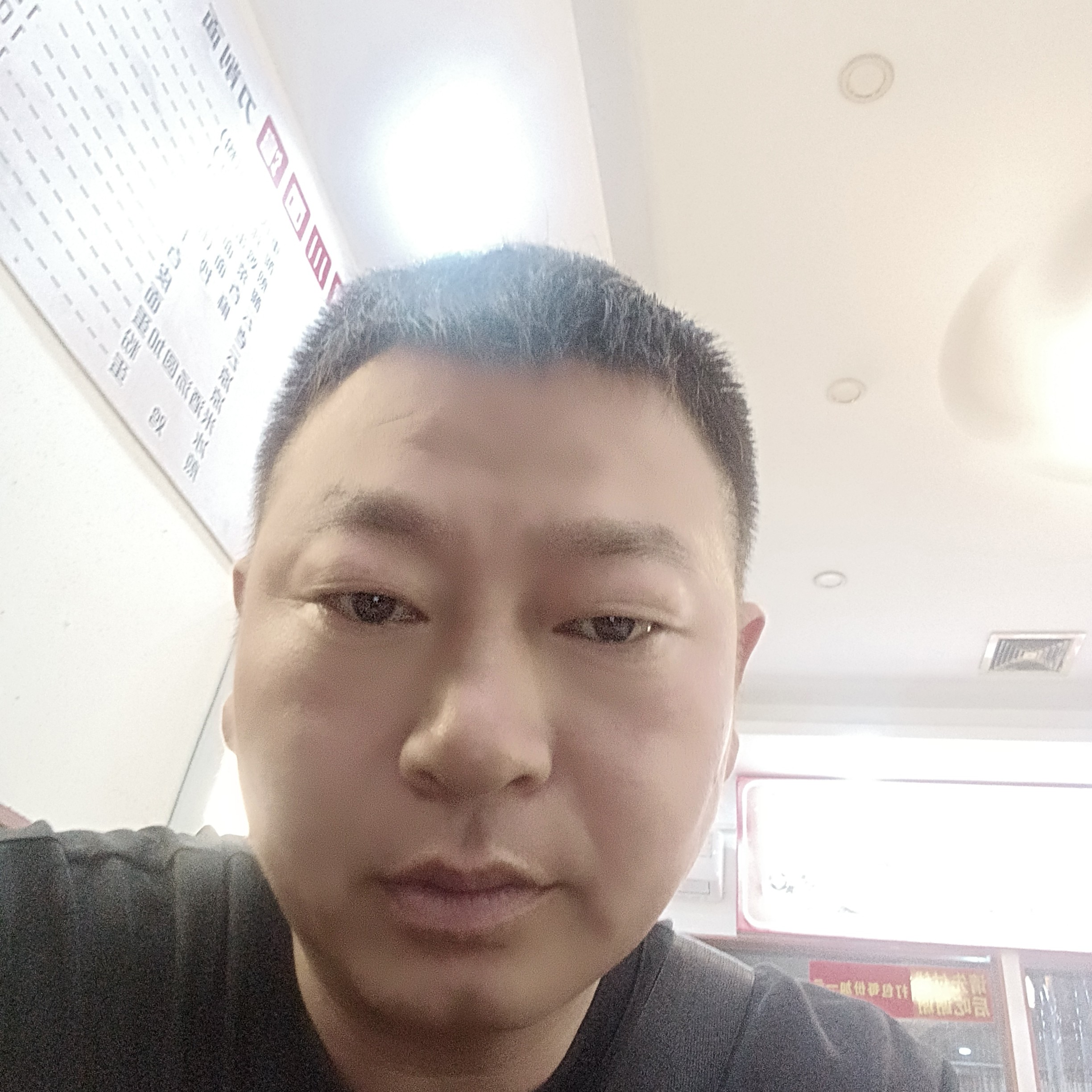 相遇de丛林的照片