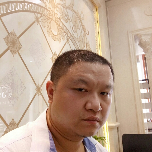 愉快玫瑰的照片