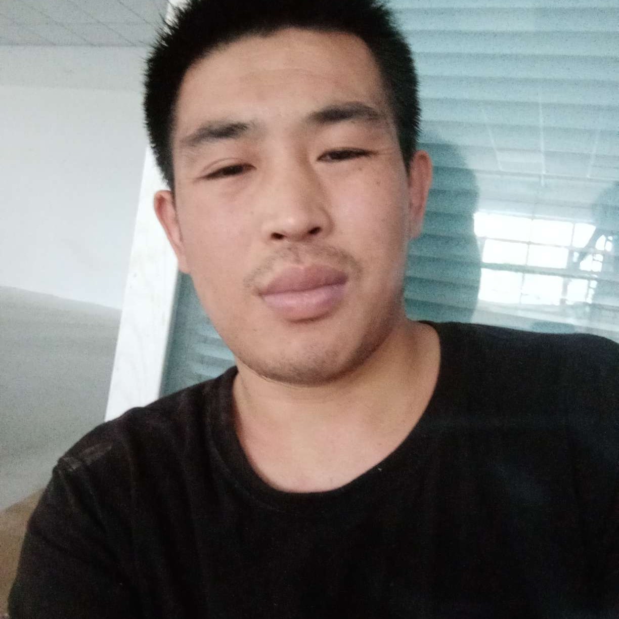 勤奋浅吻宝马的照片