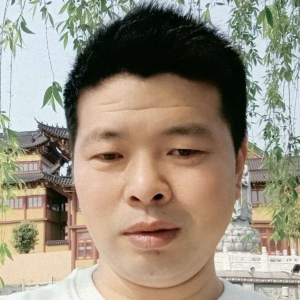 剪影内向的照片