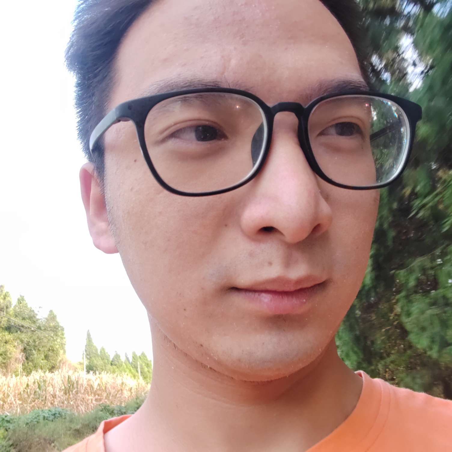 清曲拿单纯的照片