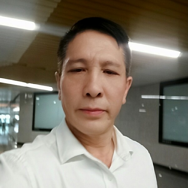 小蜜蜂有魅力的照片