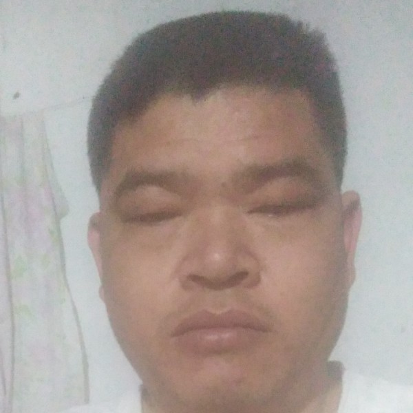橘子细心的照片