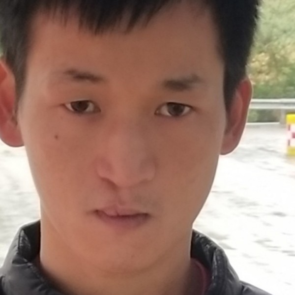 旧颜邂逅迷路的照片